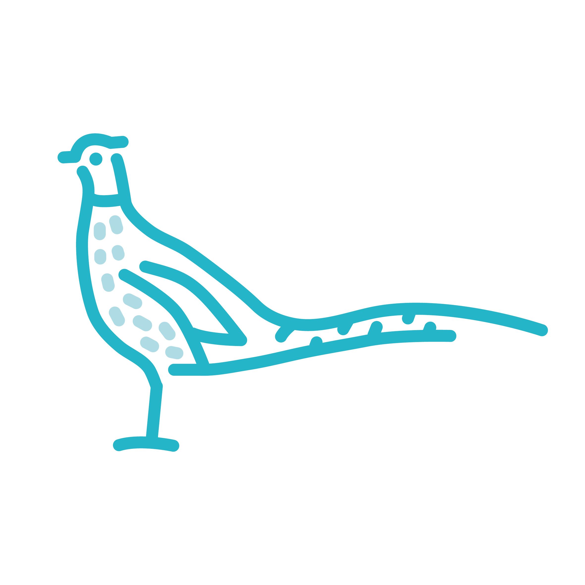 Game Bird Icon